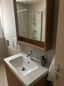Apartment Safran