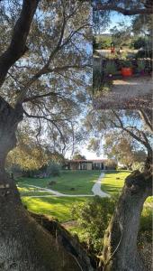 Agriturismo nuraghe Putzu Canu