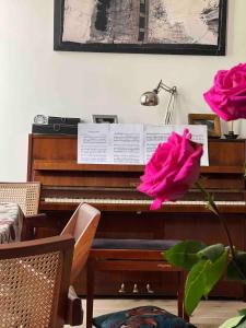 Artist ApARTment