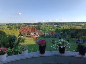 Bella vista Šumarice