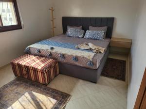 Apparemment essaouira R2R