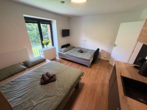 AVA apartmán Javorná na Šumavě