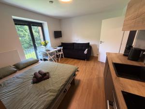 AVA apartmán Javorná na Šumavě