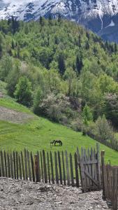Wooden cottage in Svaneti