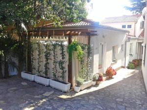 Apartments Tellus