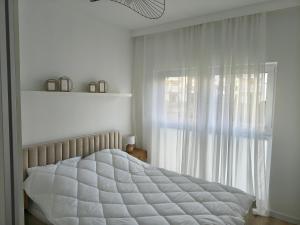 Zaczarowana Kraina