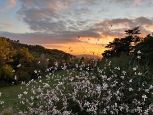 La Clairière de lAnge Havre de paix en Drôme des Collines