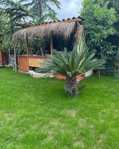 Villa Verde Vlore