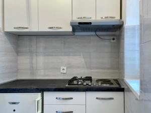 Lovely Apartment in Vis City Center