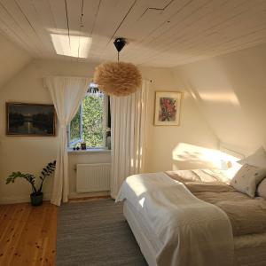 Cozy house on a hill in the heart of nature but close to the city