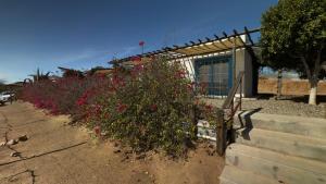Finca Santerra
