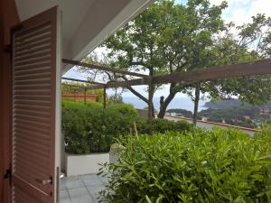 Studio with Sea View