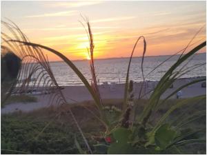 Sunset Suite right on the beach