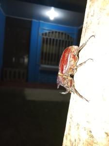 Su POSADA