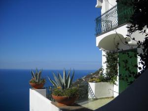 Appartement Le Cicale - Apartments Conca dei Marini Italien