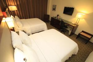 Holiday Inn Leon by IHG