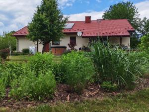 Pszczeli Ogród - dom na wyłączność z jacuzzi ze świeżą wodą