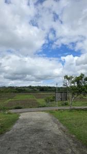 Wild View Residency & Rooms
