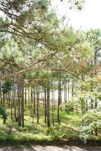 Gia An Hotel Dalat