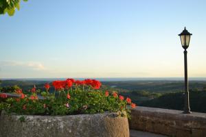 Apartments Villa San Vito