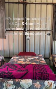 800 cafe & home stay
