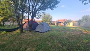 The Nest Room