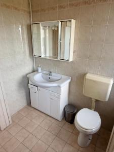 Huge BBQ Garden 2, Spacious Flat, AC, Free Parking 2