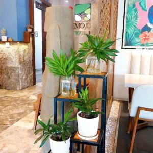 Mojo Boutique Hotel