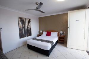 David Motor Inn