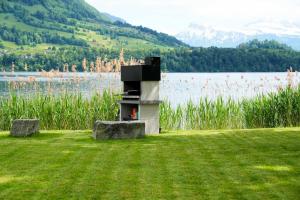 Rigi Lakeside Apartments