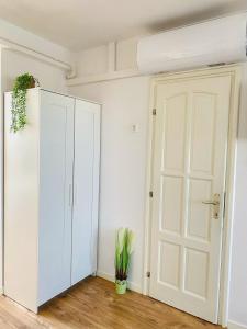 Magenta Apartman