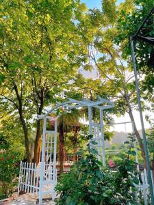 Sunny Trang An homestay
