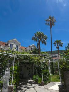 Apartment Under the Palm tree III