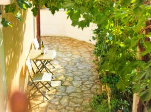 Villa Maslina-Olive