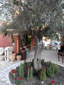 2BR Apt Kitchenette Pool 6