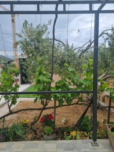 Studio apartman Mare