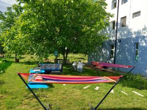 Cazare Apartament Calafat langa vama