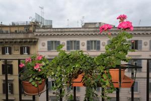 The Colosseum Mansion