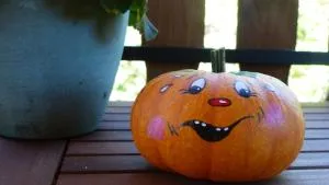 Amselgarten - Treppendorf