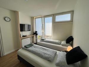 Labo Apartment apartamenty Żelazna Brama