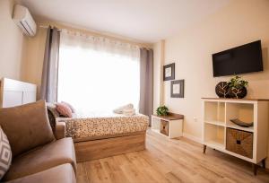 Bella Aura Acogedor Estudio con Terraza en el Centro