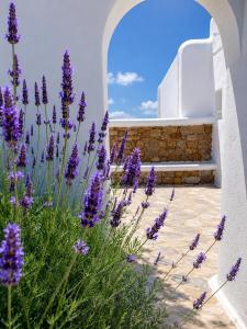 Eleftheria Hotel & Apartments