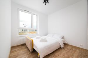 Heweliusza 8 Harmony Apartment by BookingHost