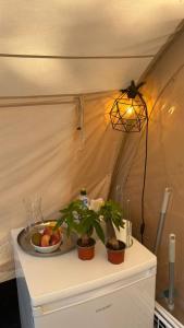 Bella Tents - Camping Vibes