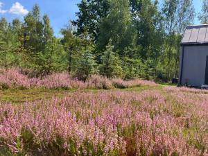 Tiny House Wrzosowisko
