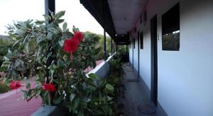 Ysraela Lodging House - Sabang