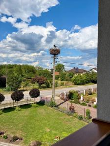 Zielona Ostoja - Pokoje i Apartamenty