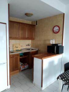 Apartment with Sea View in Benalbeach