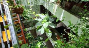 Nicobar Con Dao Hotel