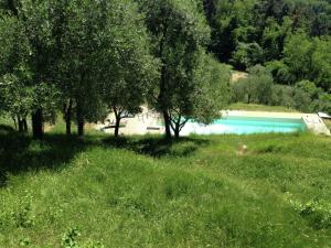 Modern Holiday Home in Pescia Tuscany with Swimming Pool